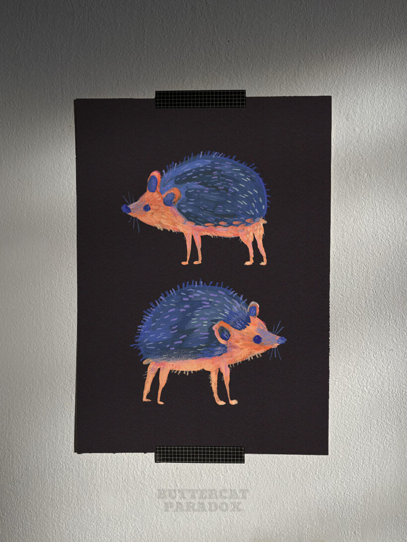 hedgehogs by buttercatparadox.com