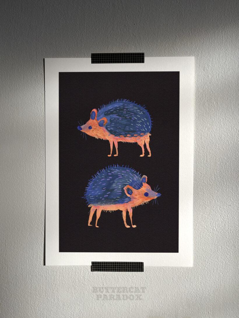 hedgehogs by buttercatparadox.com