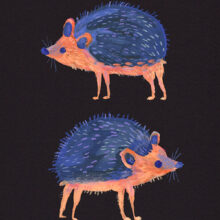 hedgehogs by buttercatparadox.com