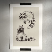 Sketchy raccoons by buttercatparadox.com