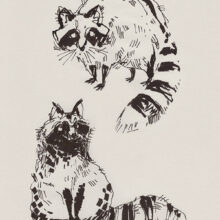Sketchy raccoons by buttercatparadox.com