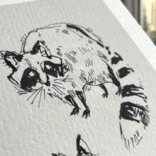 Sketchy raccoons by buttercatparadox.com