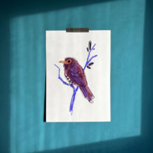 violet cuckoo by buttercatparadox.com