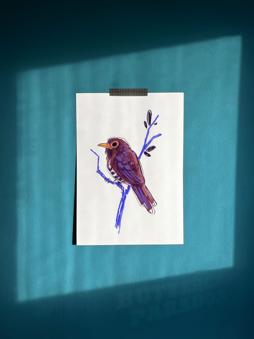 violet cuckoo by buttercatparadox.com