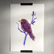 violet cuckoo by buttercatparadox.com