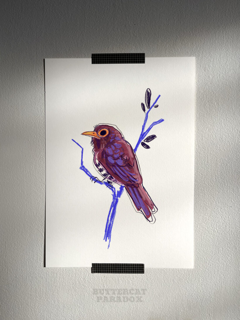 violet cuckoo by buttercatparadox.com