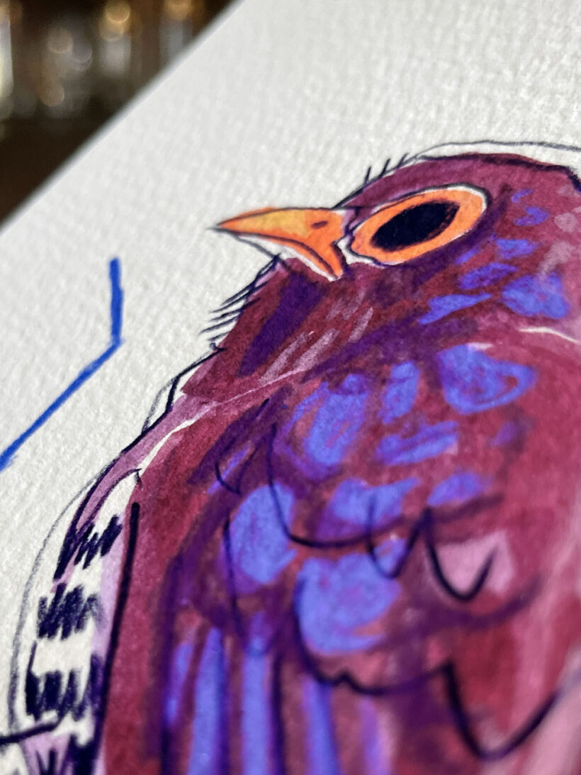 violet cuckoo by buttercatparadox.com