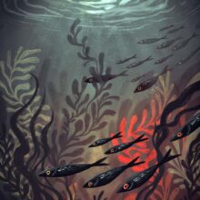 moon lagoon by buttercat paradox 'Moon Lagoon' art print depicting a dark underwater scene illuminated by moonlight. Printed on archival cotton paper, signed by the artist Tereza Kovandová aka Buttercat Paradox.